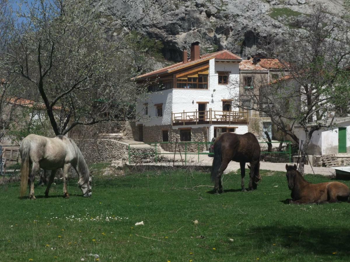 بونتونس Casas Rurales El Nacimiento المظهر الخارجي الصورة