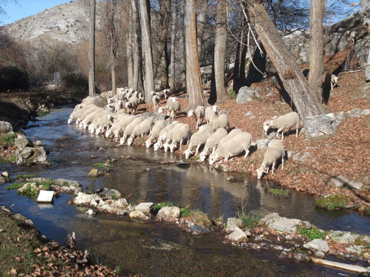 بونتونس Casas Rurales El Nacimiento المظهر الخارجي الصورة